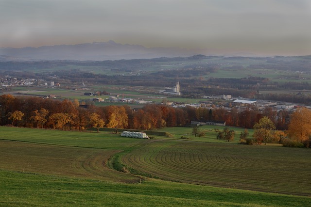 Weinfelden 12